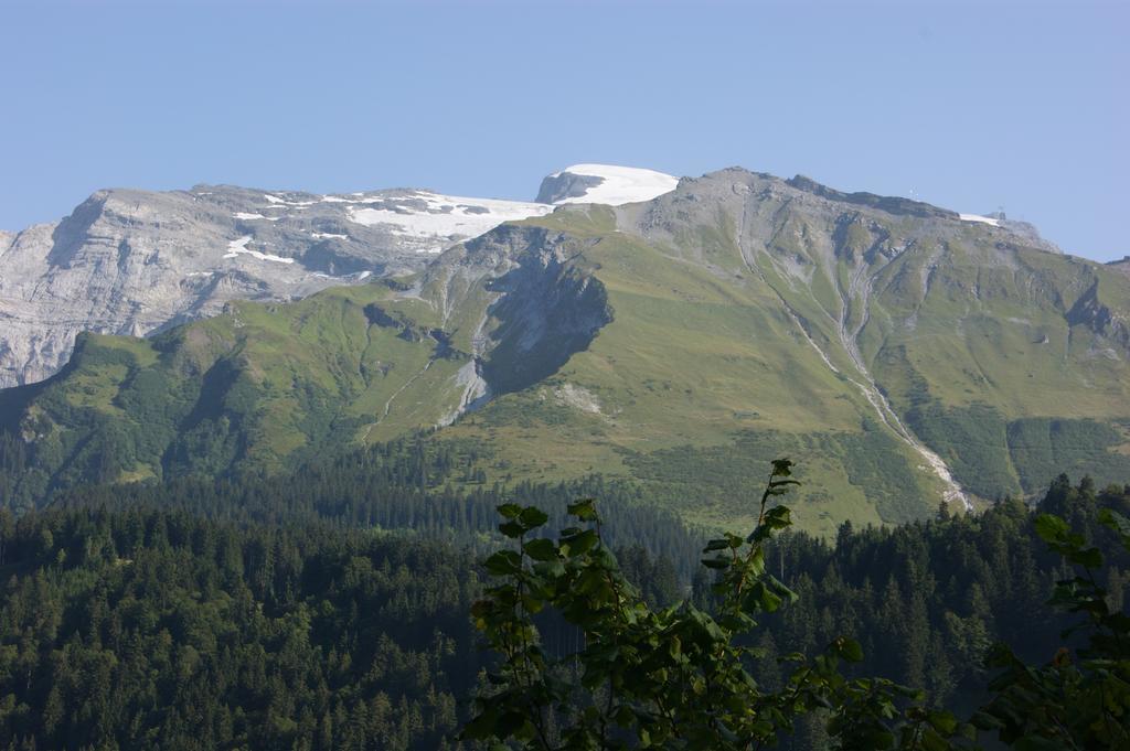 Hotel Schweizerhof Енгелберг Екстериор снимка