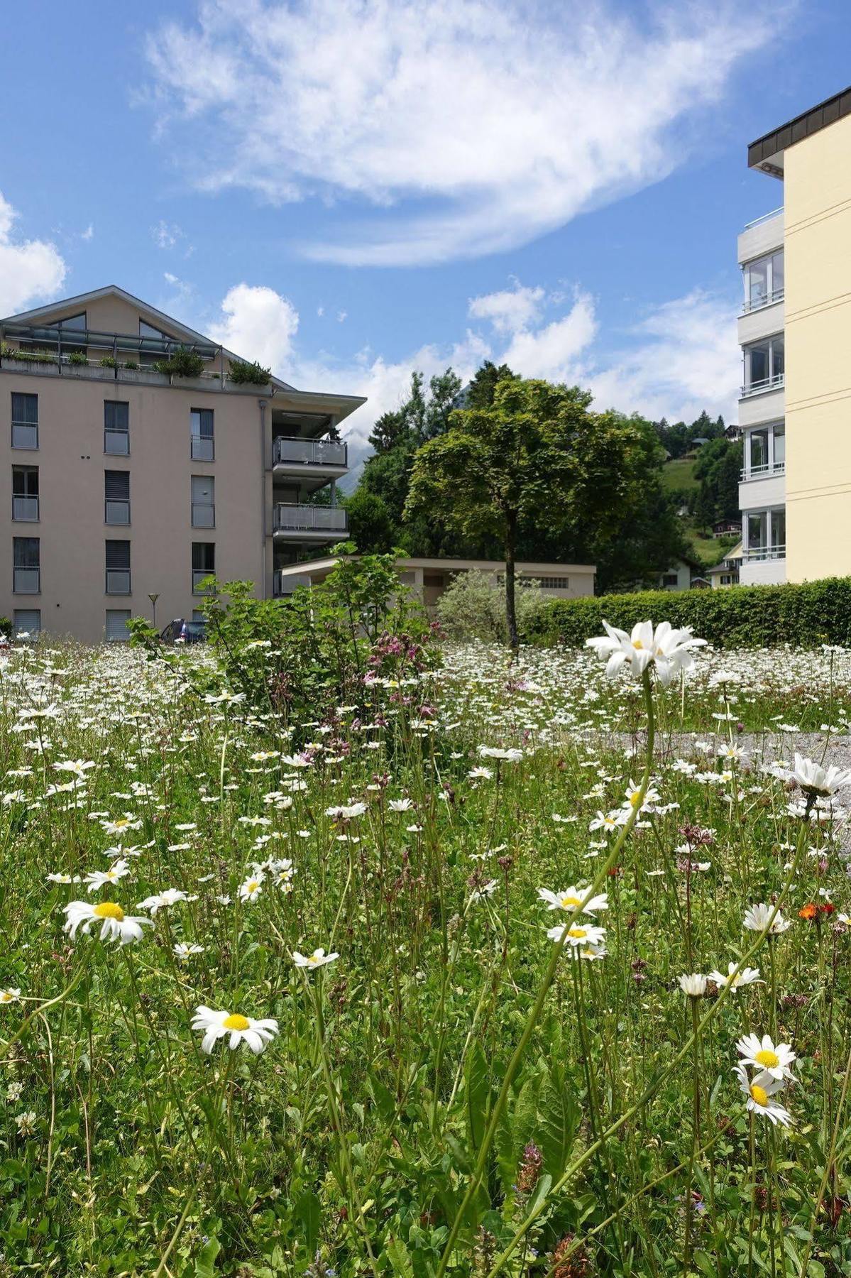 Hotel Schweizerhof Енгелберг Екстериор снимка